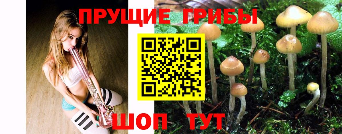 Псилоцибиновые грибы Magic Shrooms  Галлюциногенные грибы Psilocybine cubensis  Вход с VPN  Партизанск 